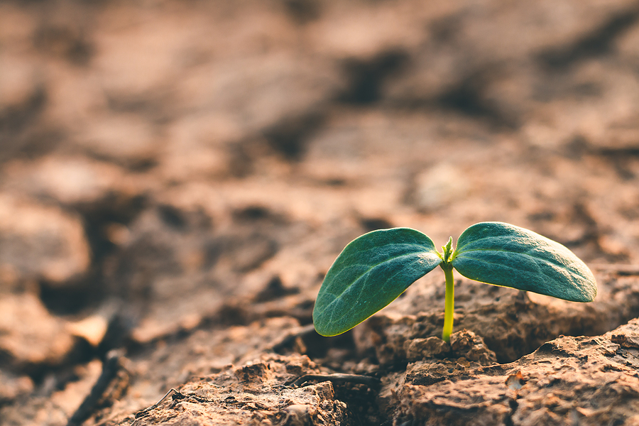 Water efficiency audit - H2O Building Services Water efficiency audit - H2O Building Services